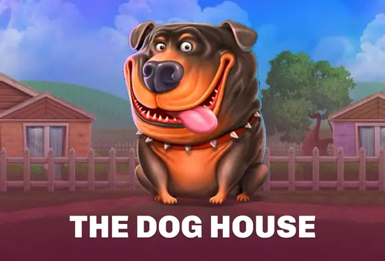 Slot The Dog House bei Velobet